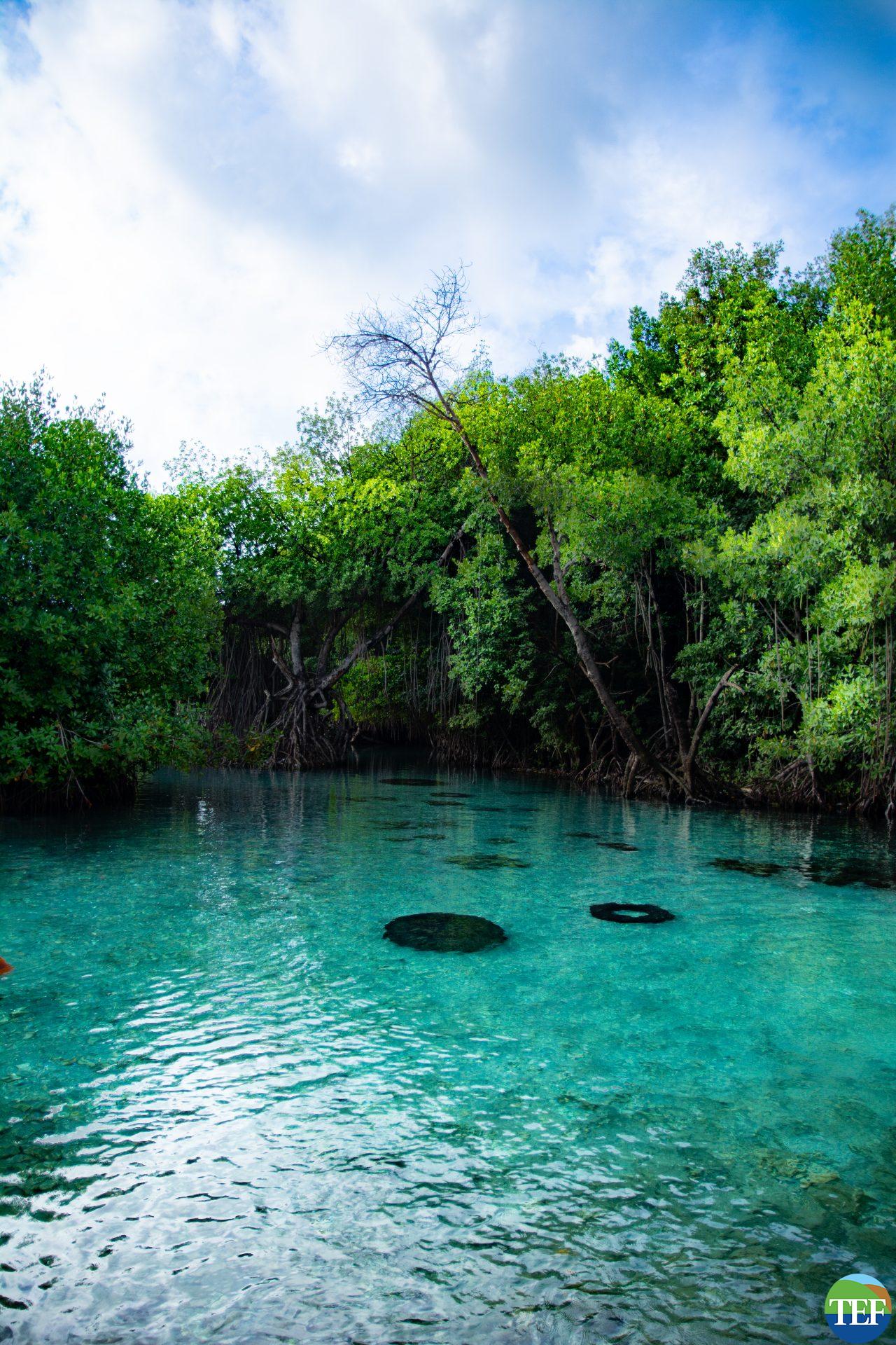 Clarendon Real Estate